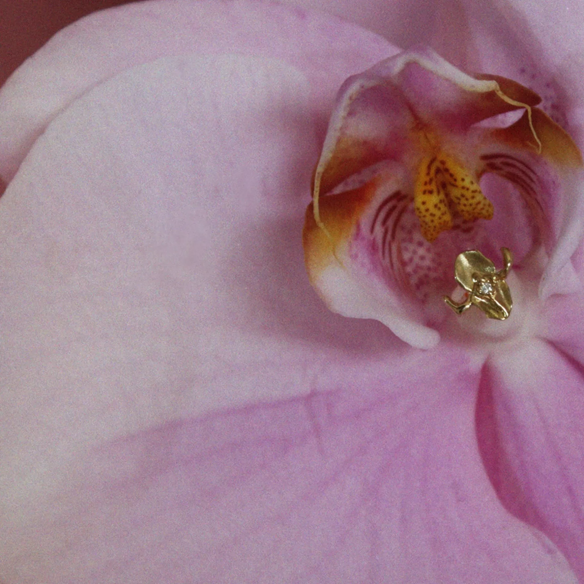 irisistible_stud_2.webp Anissa Kermiche Iris-Istible Stud Outlet