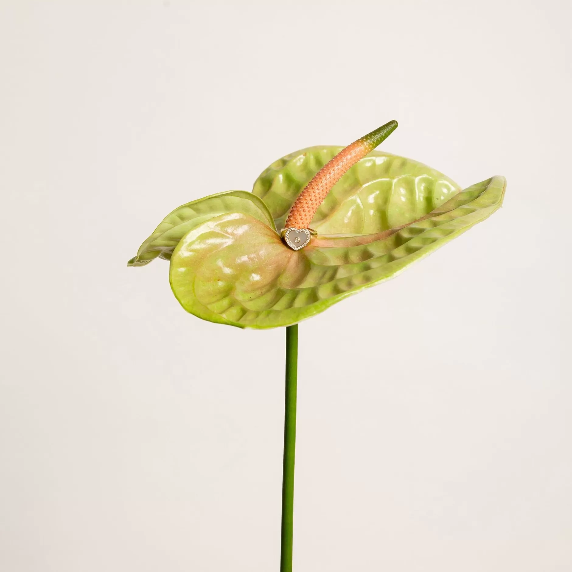 love_heart_mother_of_pearl_signet_ring_2.webp Anissa Kermiche Love Heart Mother Of Pearl Signet Ring New